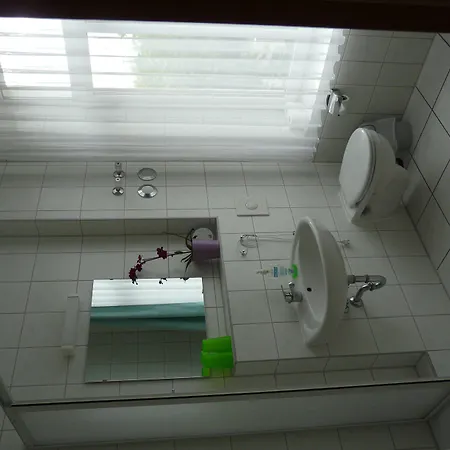 ホテル Am Brauhaus 3*