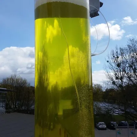 Am Brauhaus Waren (Mueritz)